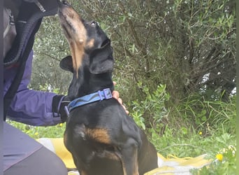 Giuli: sie muss man lieb haben