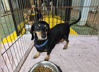 Giuli: sie muss man lieb haben