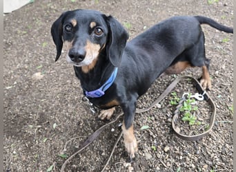 Giuli: sie muss man lieb haben