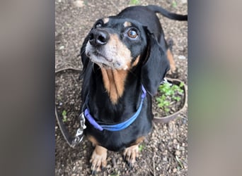 Giuli: sie muss man lieb haben