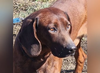 Gentleman Mexi ist bereit für seine Familie