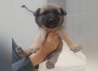 ❤️OREO❤️