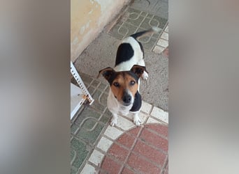 KIKA