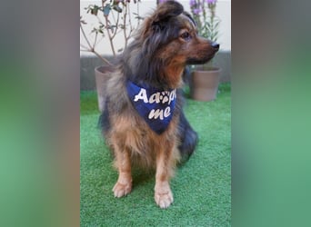 Buddy-SR, möchte dein Freund werden