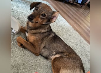 KINUSHI soll endlich entgültig ankommen