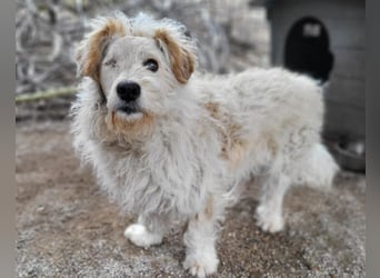 Lucky ❤️ fröhlich+aufgeweckt sucht dich!