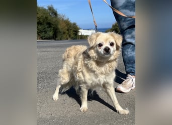 Omi Zorina sucht Endstelle!