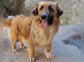 Besuche Grace in 86825 Bad Wörishofen ❤