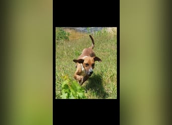 Tobias ist bereit für sein Abenteuer
