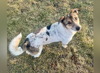 Aufgeschlossene Freya sucht liebe Familie