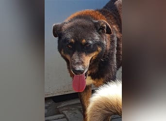 Lucky: wer lässt seine Augen strahlen