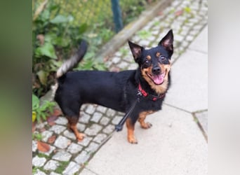 Emma - liebevolle Seniorin-Dame
