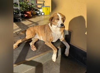 Lea - liebenswürdiges Mädchen sucht sicheren Hafen