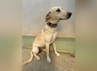 Lilly – sensibel, aktiv, besonders. Wer gibt ihr diesmal die richtige Chance?