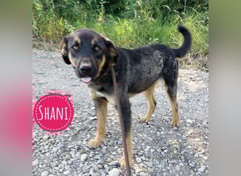 Shani braucht Liebe