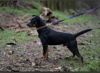 Lieber Lala, ca. 2 Jahre alt, 39 cm, wünscht sich eine Familie
