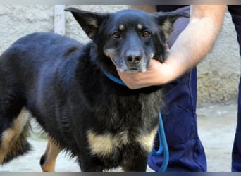 Athena - gibst Du mir eine Chance ?