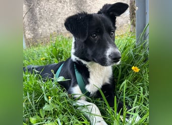 Herzensbrecherin Lena sucht ihre Familie ❤️