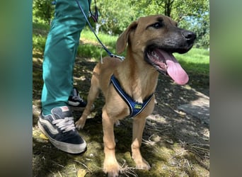 Nina ein kleiner Engelchen