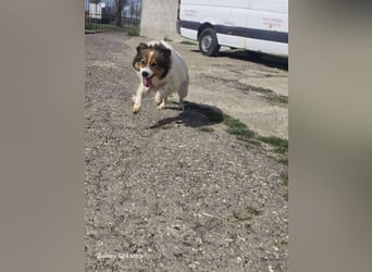 Maggy wartet schon so lange