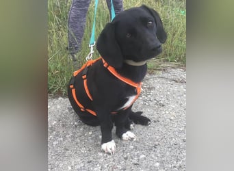 Eddie sucht seine neuen Dosenöffner