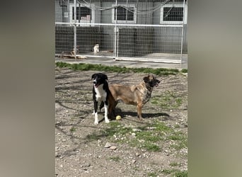 Zauberhafte Kayla ist bereit!