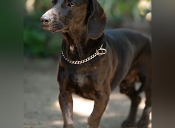 Tobias