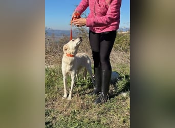 Miranda - Familie fürs Leben gesucht (82041 Deisenhofen)