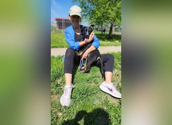 Fröhliche Rosi sucht ihr Zuhause