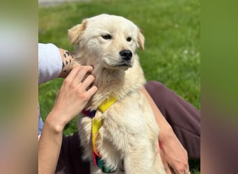 Ängstliche wunderhübsche Cindy