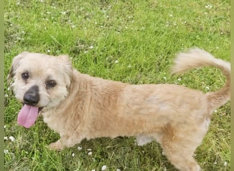 Burki ein kleiner sportlicher Bub