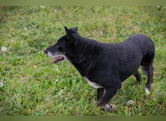 Miky: Sucht dich!