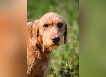 Bummi - soll endlich den Lohn für seine harte Arbeit bekommen