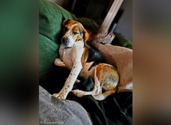 Karamell: wo soll ich denn hin? Notfall!