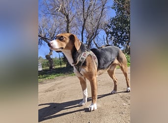 Macchia: ideal für die Familie