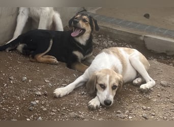 Buffy: ein Schatz für "Überall mit dabei" Buffy: ein Schatz für "Überall mit dabei"