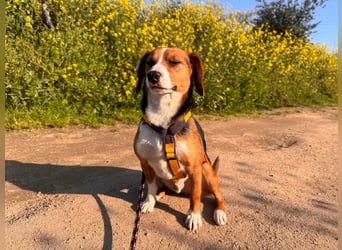 Macchia: ideal für die Familie