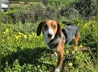 Macchia: Papa mit Herz