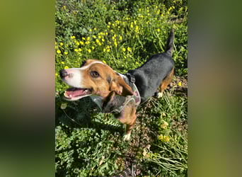 Macchia: Papa mit Herz