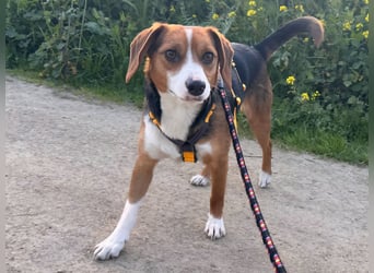 Macchia: ideal für die Familie