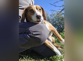 Macchia: Papa mit Herz