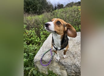 Macchia: ideal für die Familie