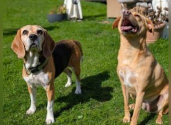 Paula: auf PS in Solingen