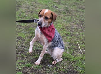 Lilu - dem engen Zwinger entkommen!