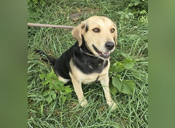 Gillian Schnüffelnase