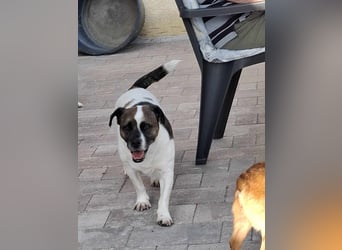 Mona auf PS in Deutschland