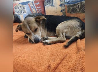 Mushashi ein richtig verschmuster Kerlchen