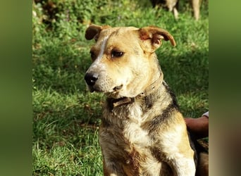 Mushashi ein richtig verschmuster Kerlchen