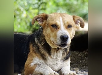 Mushashi ein richtig verschmuster Kerlchen