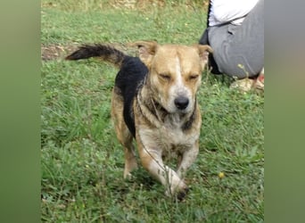 Mushashi ein richtig verschmuster Kerlchen